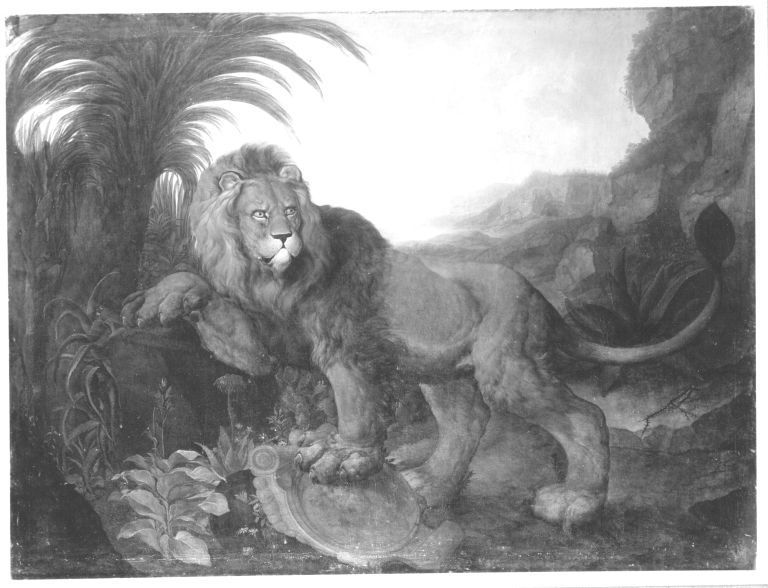 Johann Melchior Roos, Ein Löwe