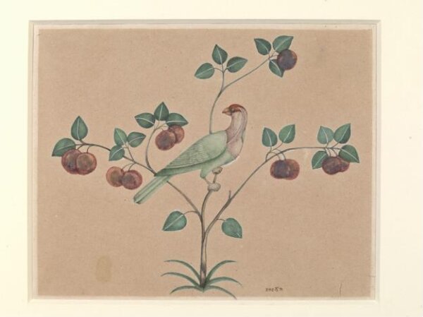 Unknown, Detail of pietra dura work from the Diwan-i Am, Delhi Palace and Fort