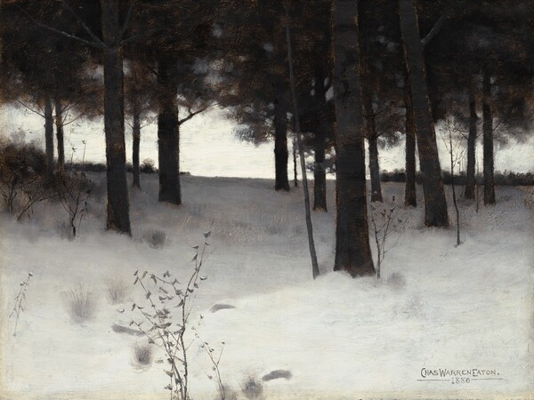Charles Warren Eaton, Woods in Winter