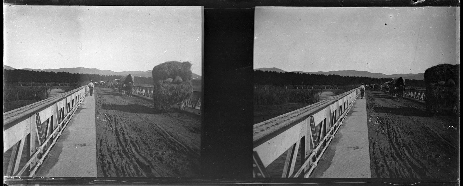 Desconegut, [Pont de ferro sobre el riu]