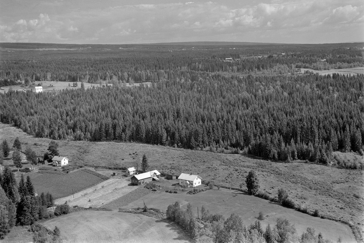 Widerøes Flyveselskap A/S, FLYFOTO HJEMLI