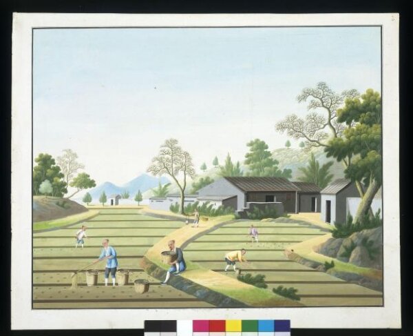 Unknown, Sowing Seeds