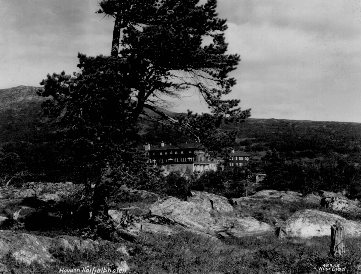 Anders Beer Wilse, Hovden Hoyfjellshotell.
