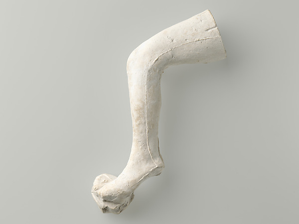 Auguste Rodin, Study of a leg