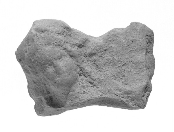 Unknown, Female Head and Left Shoulder Fragment