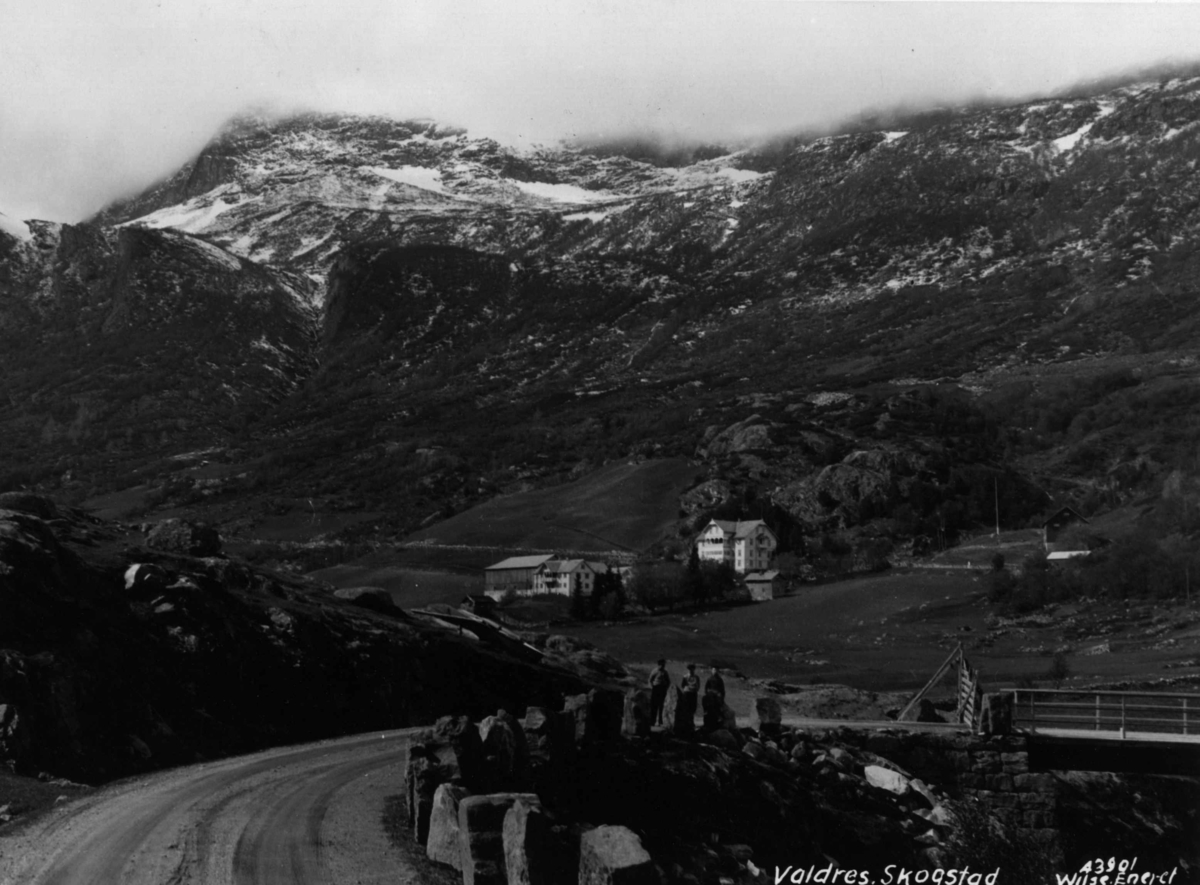Anders Beer Wilse, Oversiktsbilde Skogstad Valdres