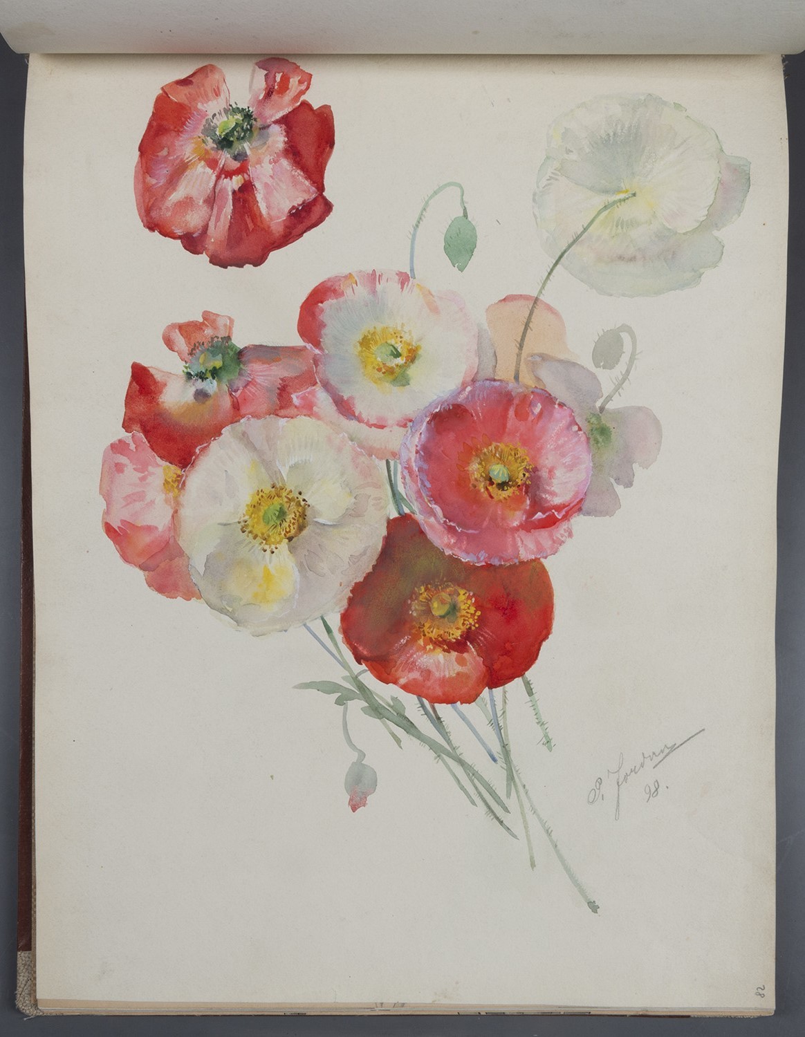 Paul Jordan, Blumen: Mohnblüten