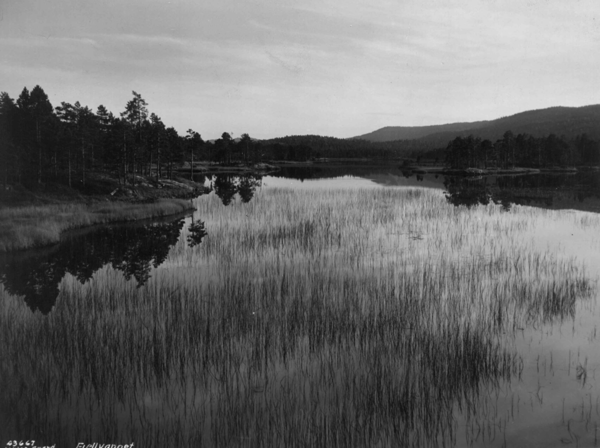 Anders Beer Wilse, Landskap