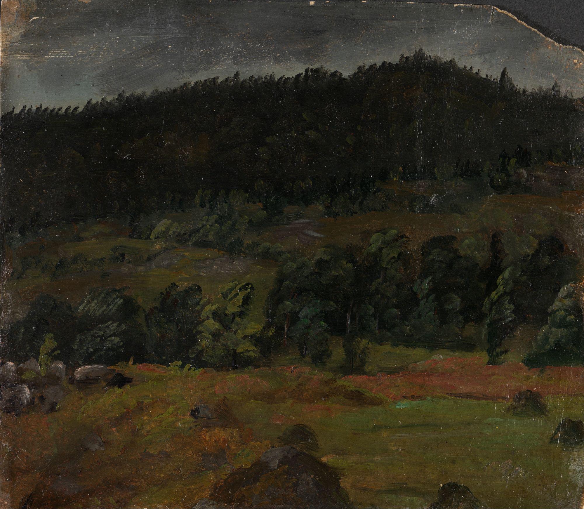 Knud Baade, Landscape Study
