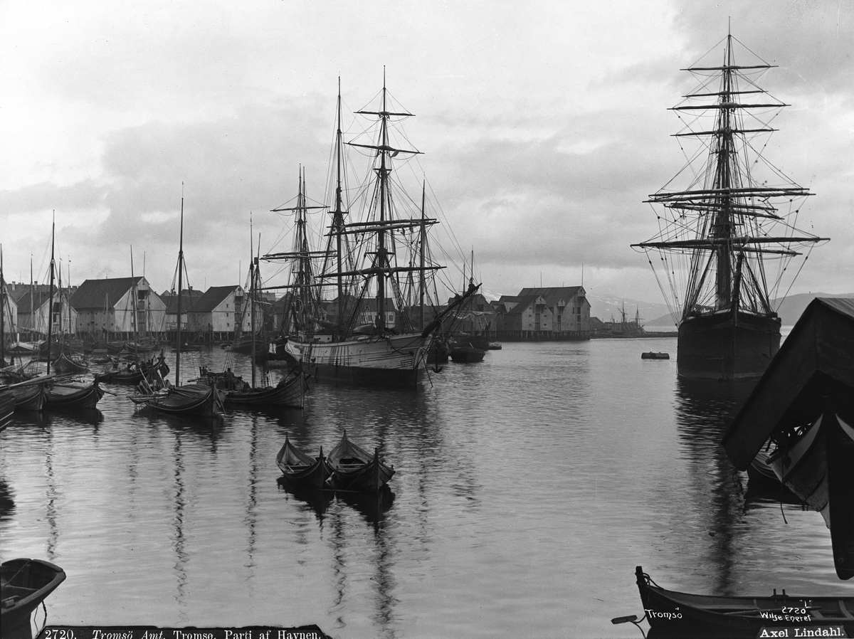 Axel Lindahl, Prot: Tromsø Parti af Havnen