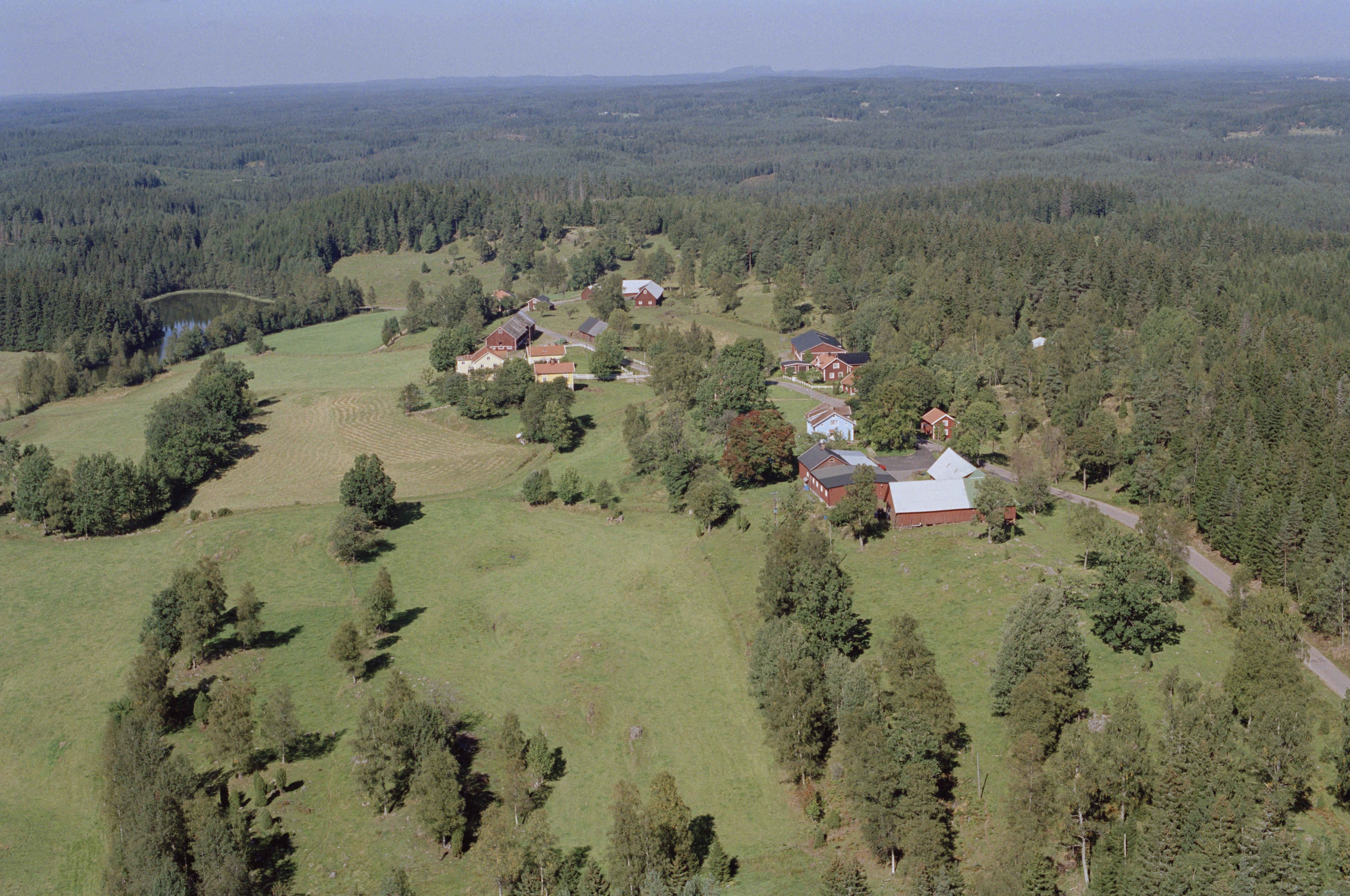 Jan Norrman, Pålskog