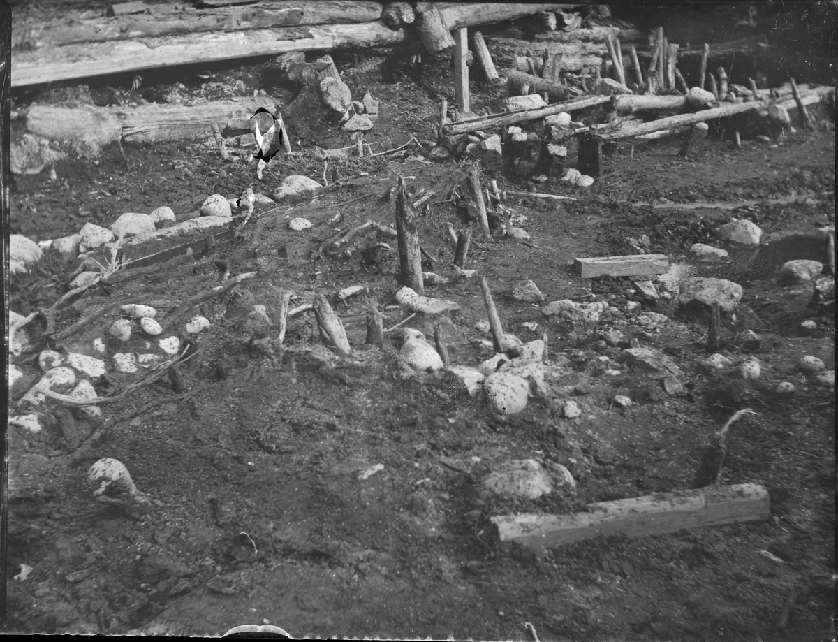 Okänd,, Archaeological excavation, Studentholmen, Uppsala 1907