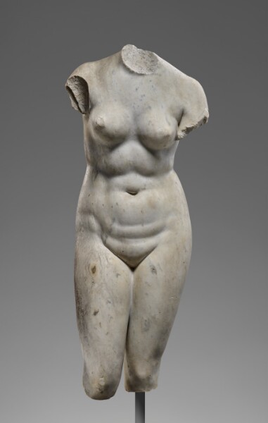 Unknown, Statue of Venus (Medici type)
