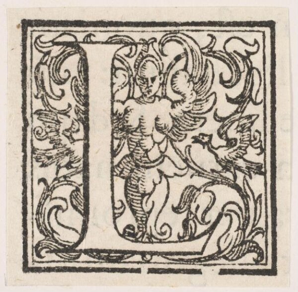 Unknown, Print
