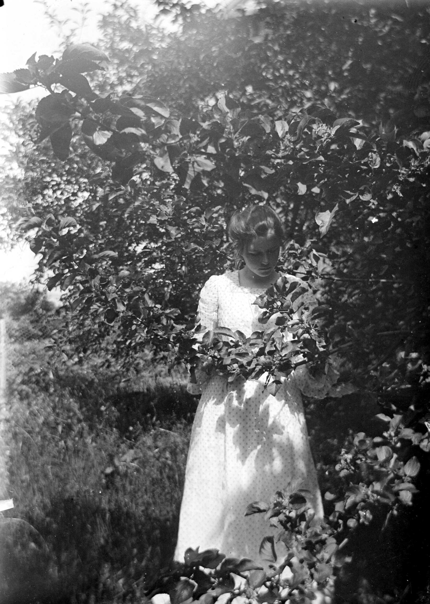 Juliane Fredrikke Langberg, Portett av ung kvinne, Emily Holm, fotografens niese, stående i lys sommerkjole ved et tre. Muligens tatt i Hurum eller Rakkestad. Fra malerinne Juliane Fredrikke Langbergs (1856-1930) samling, tatt ca.1895-1910 med motivkrets slekt og venner samt steder tilknyttet samvær med disse.