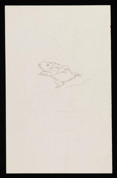 Potter, Beatrix, drawing