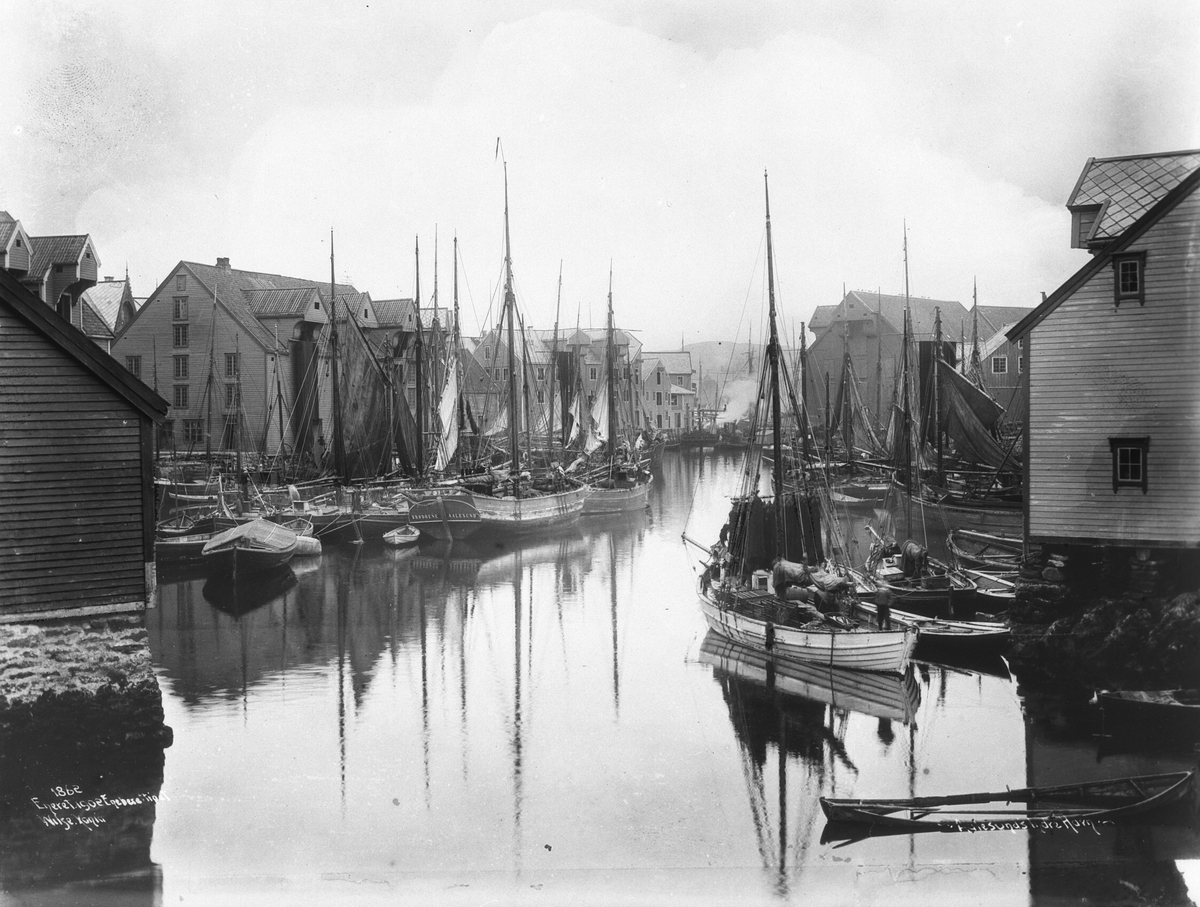 Anders Beer Wilse, Prot: Aalesund - Fiske Indre Havn 26. Sep. 1902