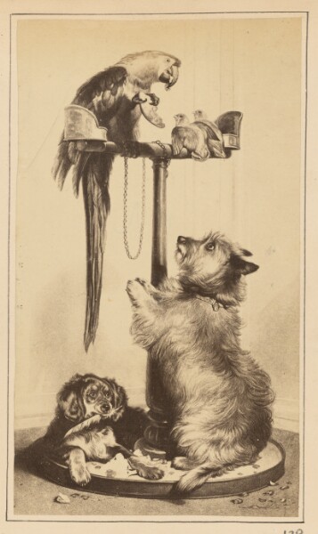 Unknown, [Painting of Two Dogs and a Parrot]