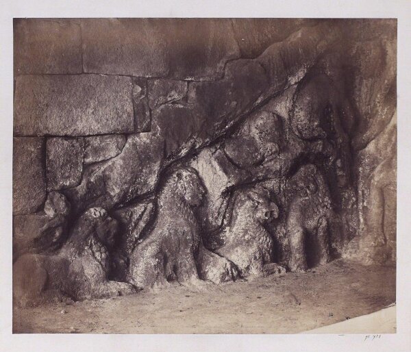 Unknown, Photograph