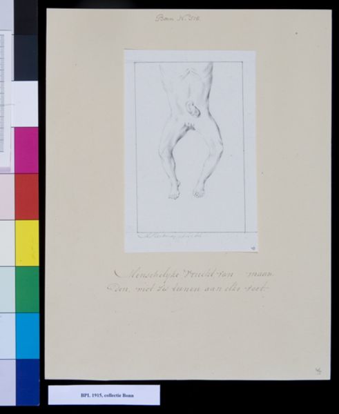 M. Houtman, Foetus with six toes on each foot