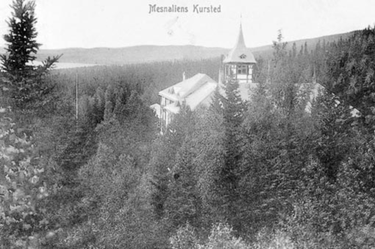Anno Domkirkeodden, Mesnalia kursted, Ringsaker.