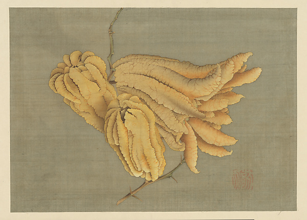 Katsushika Hokusai, Buddha’s Hand Citron (Busshukan)