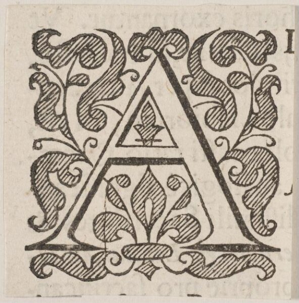 Unknown, Print