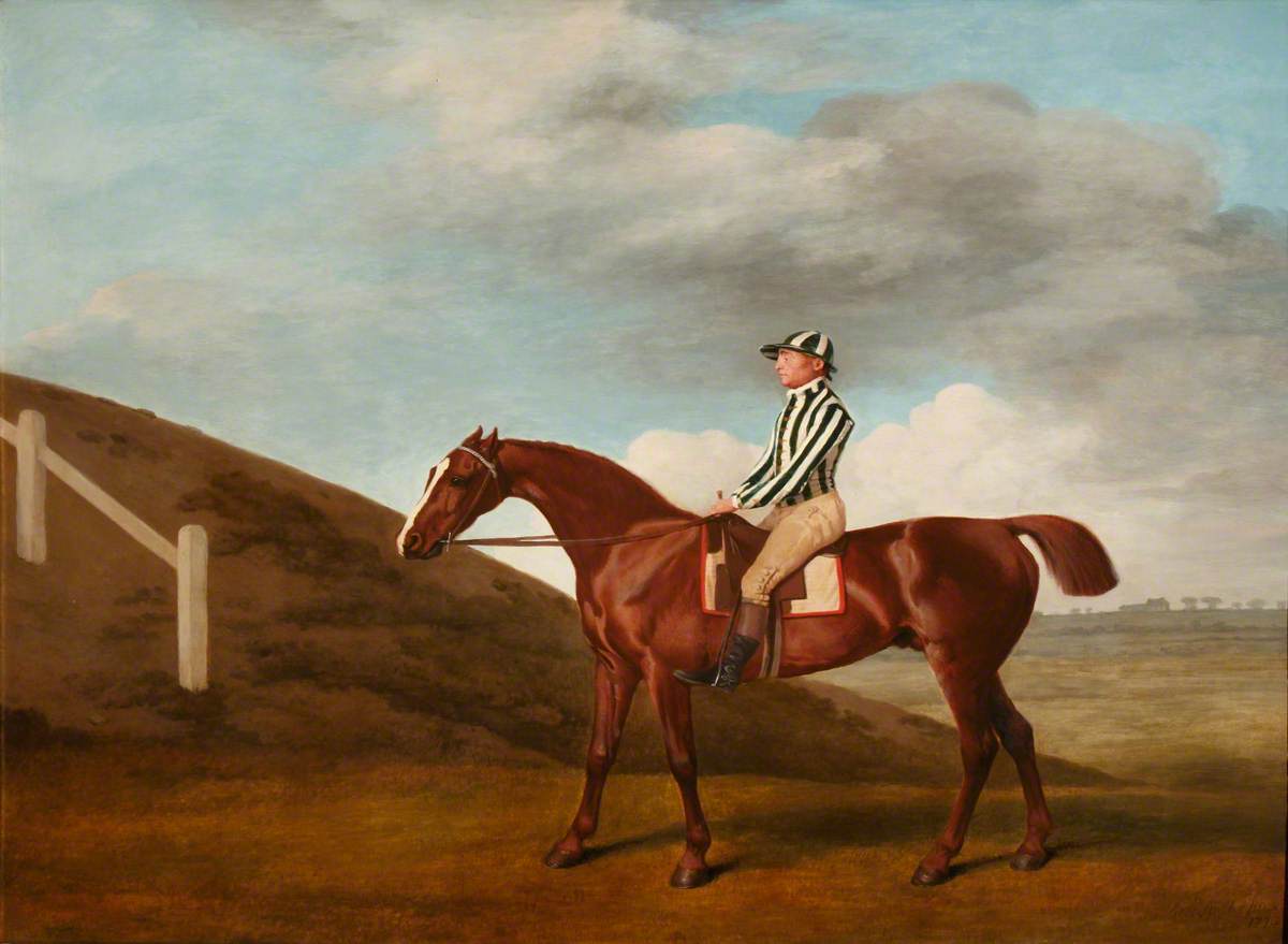 George Stubbs, Pumpkin