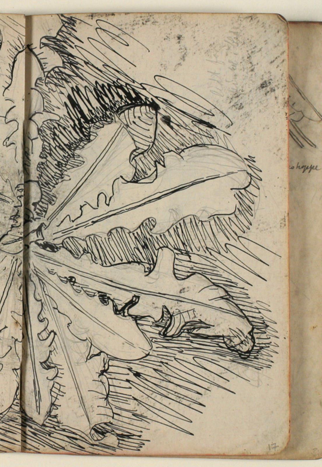 Niels Larsen Stevns, Plantestudie