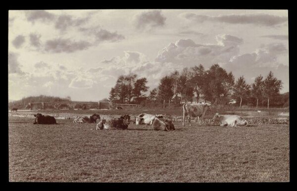 Gale, Lt. Col. Joseph, Landscape