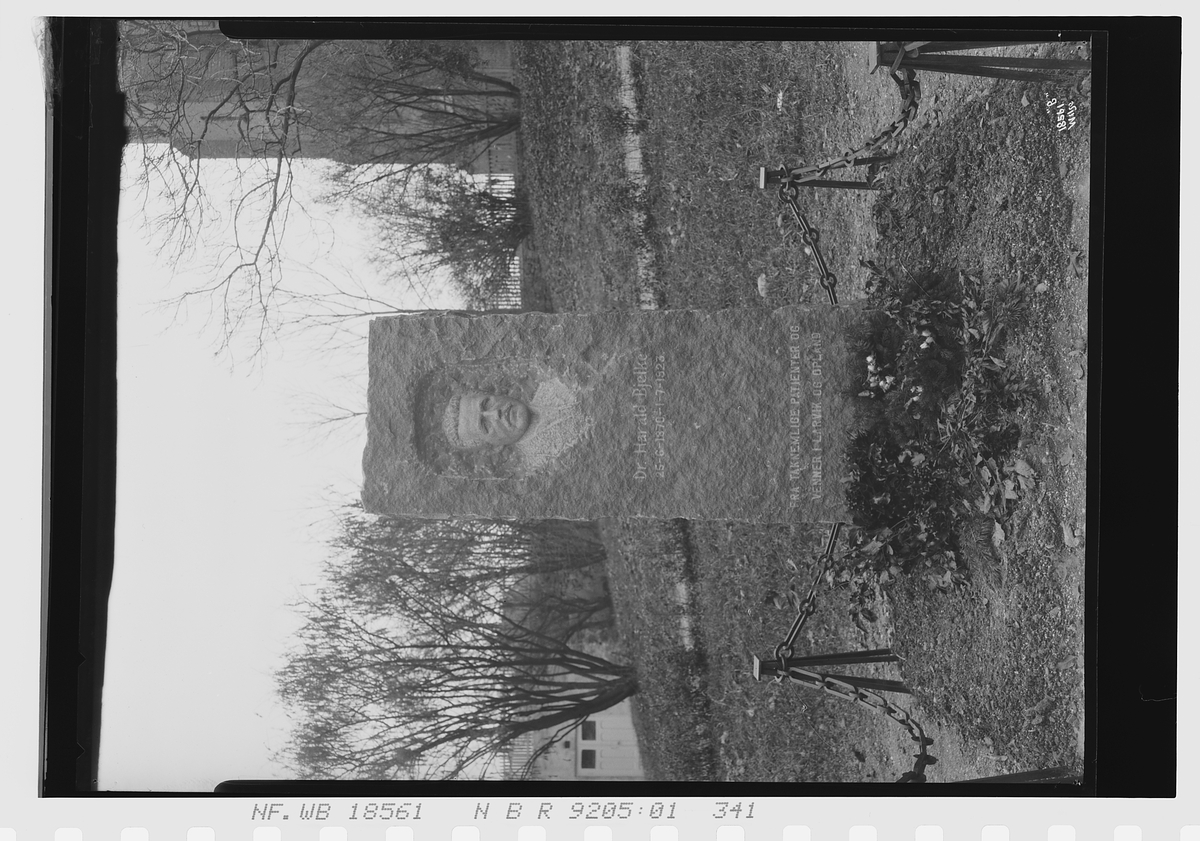 Anders Beer Wilse, Prot: Bjerke dr gravmonument