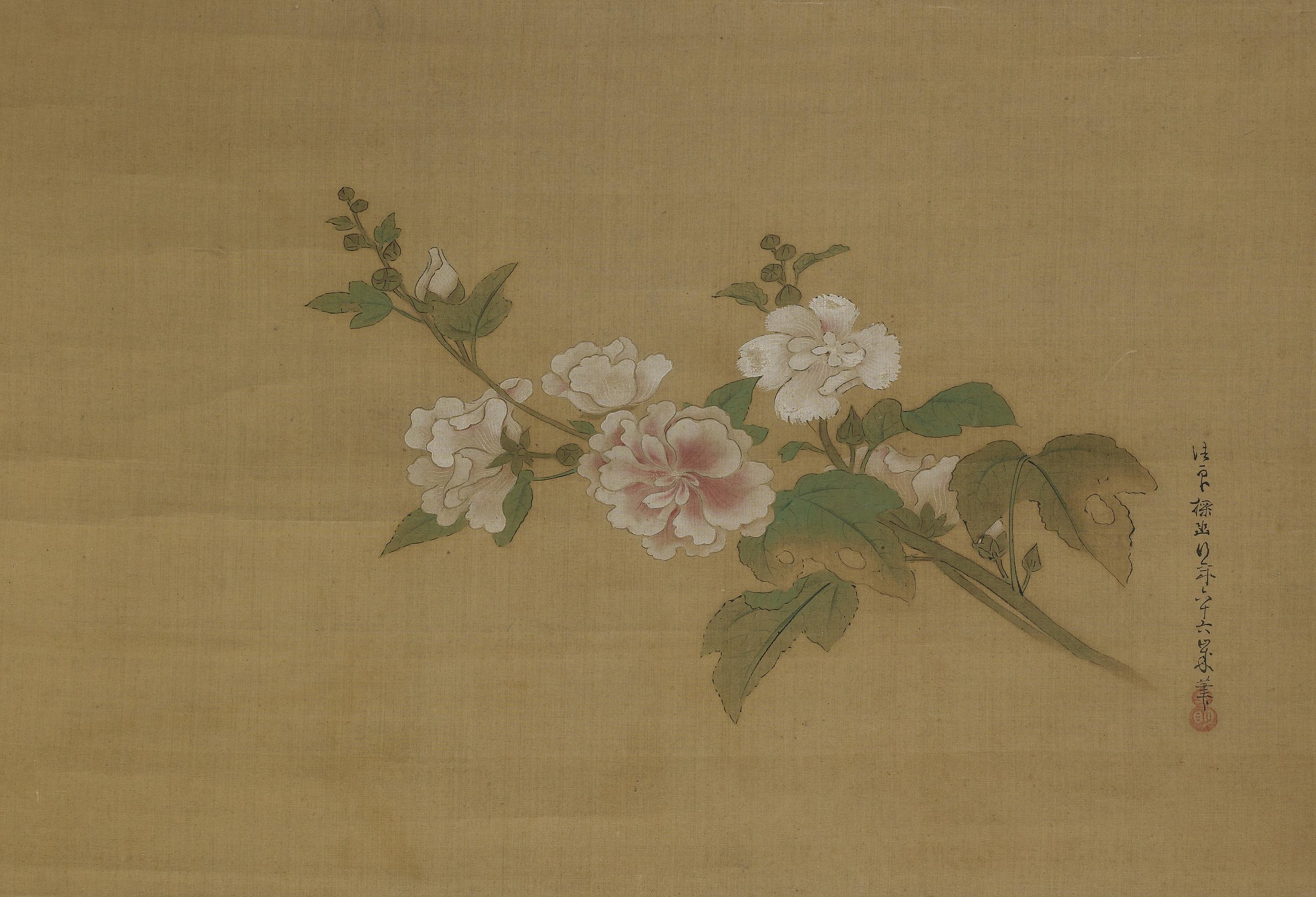 Kano Tan'yu, A branch of flowering hibiscus