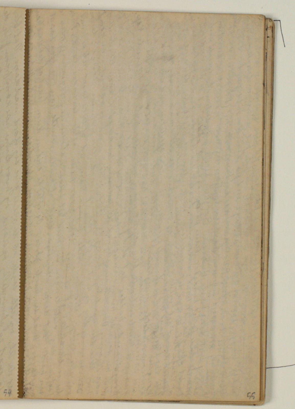 Niels Larsen Stevns, Blank