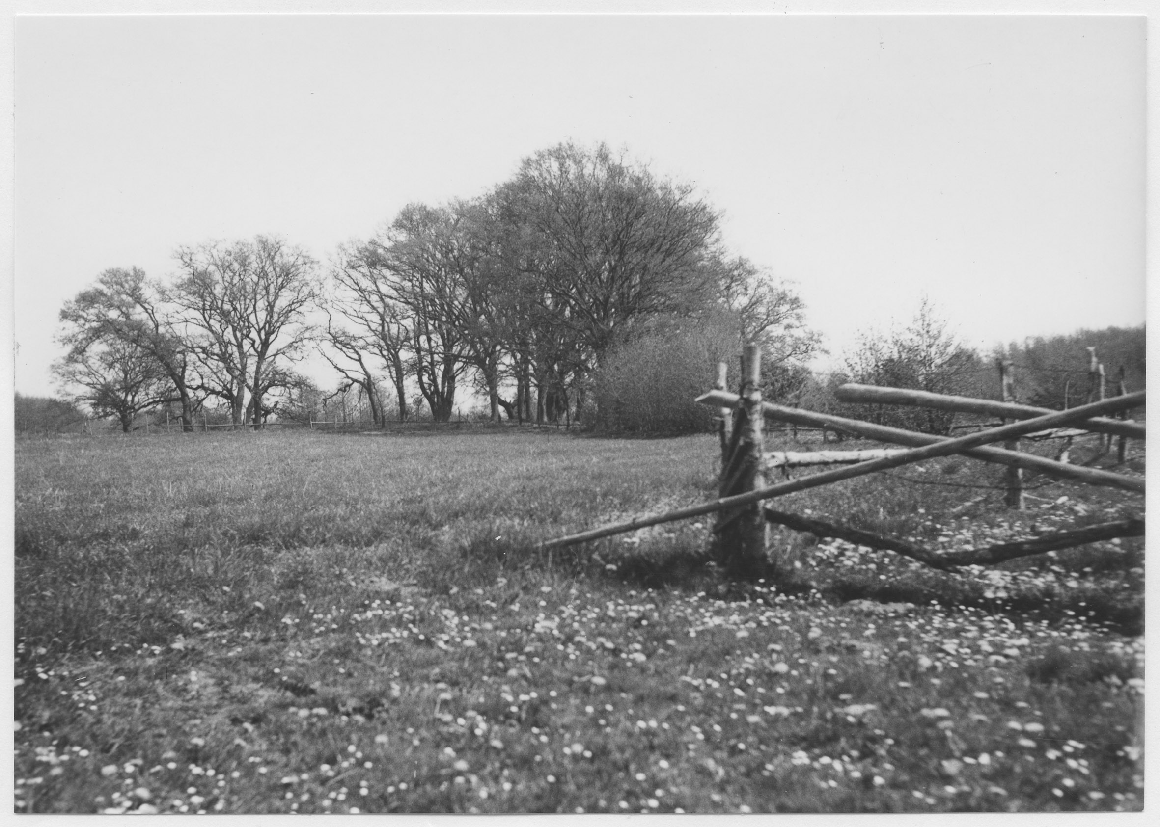 Mårten Sjöbeck, Egeside