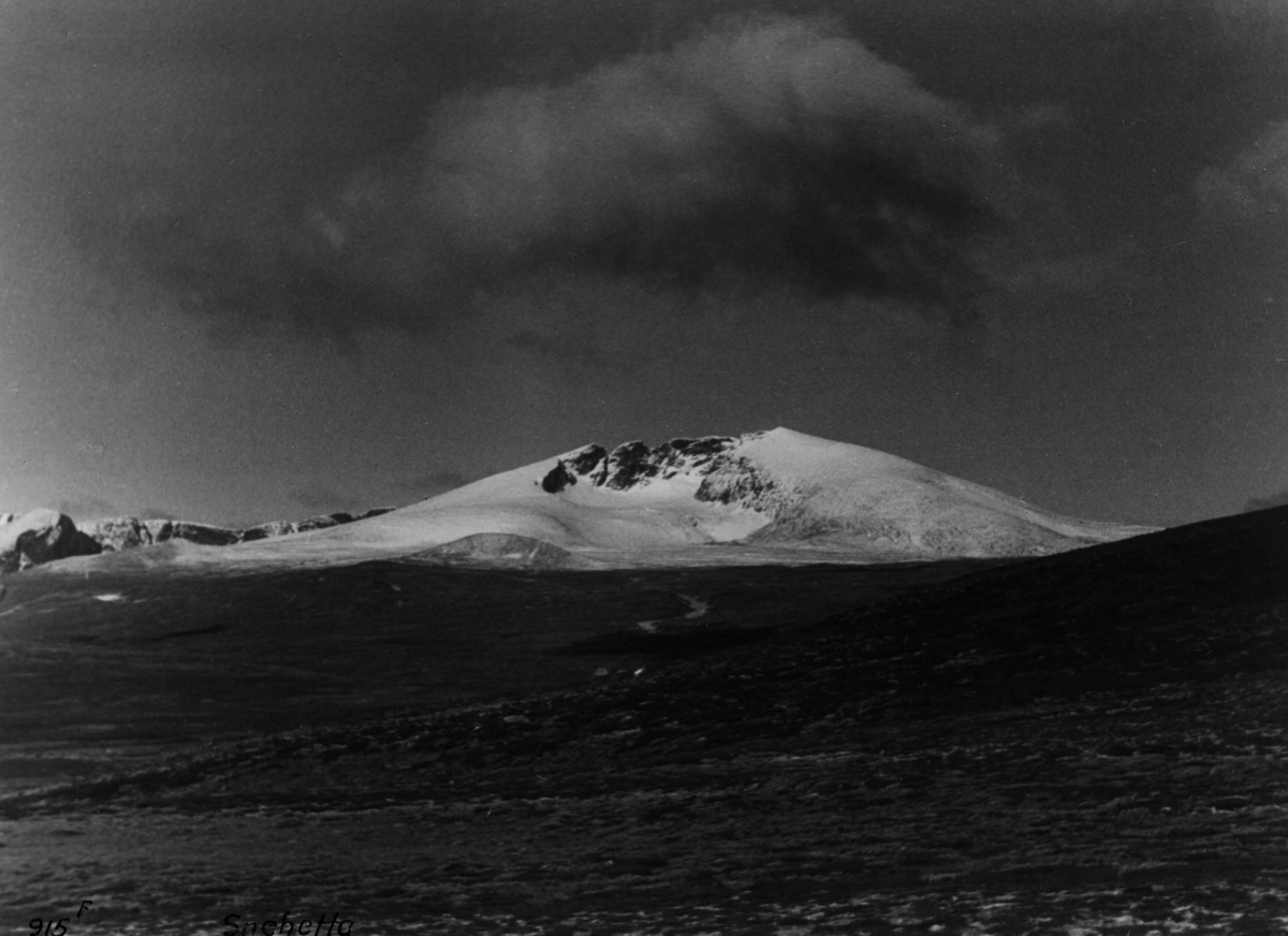 Anders Beer Wilse, Snohetta, Dovrefjell