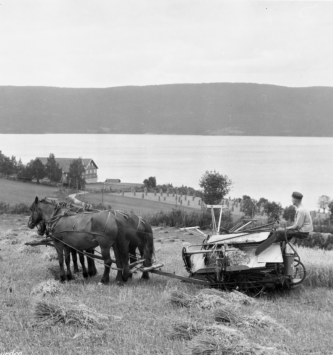 Anders Beer Wilse, Prot: Hadeland - Haug gaard med selvbinder