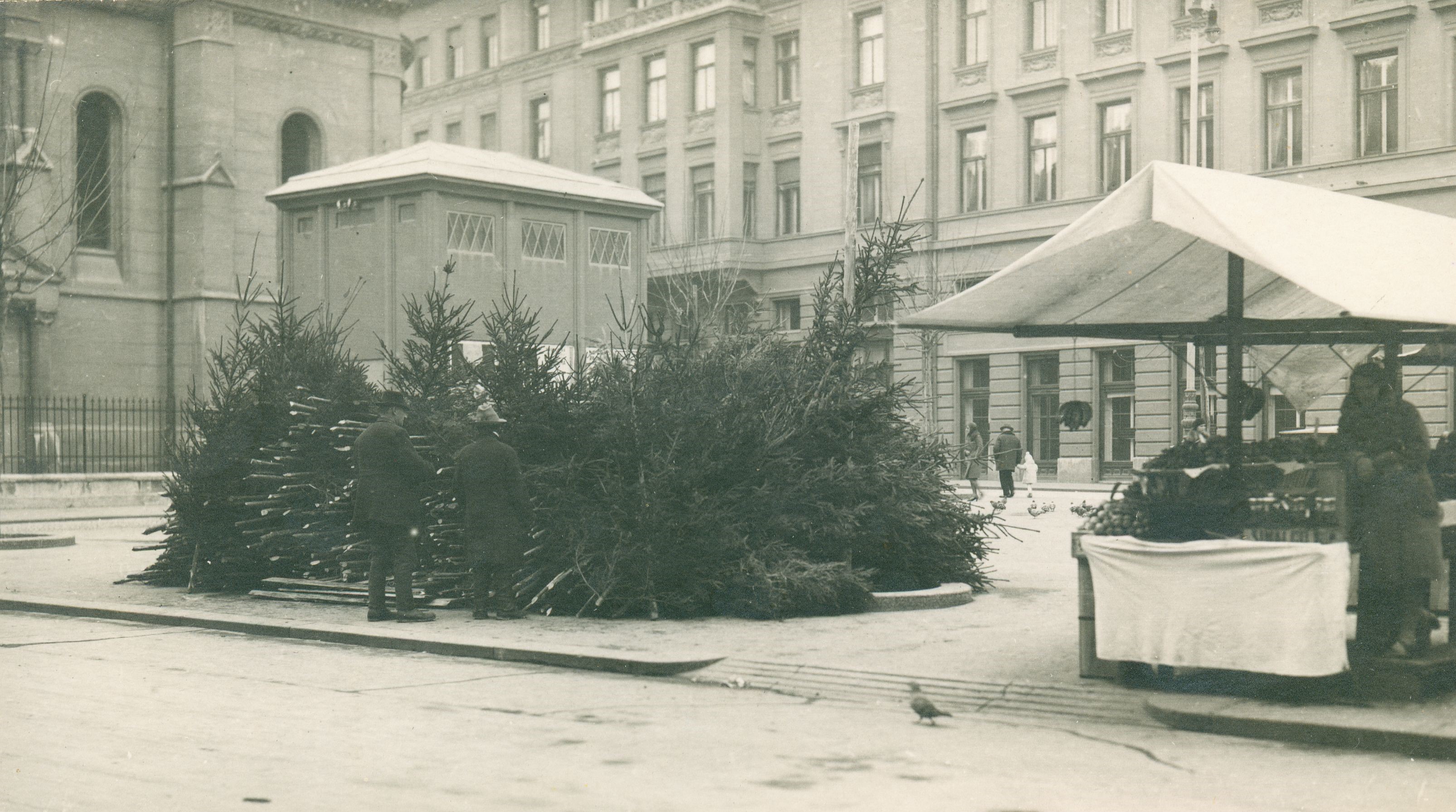 Vladimir Horvat, Zagreb (Preradovićev trg) - Prodaja božićnih drvaca na Preradovićevom trgu