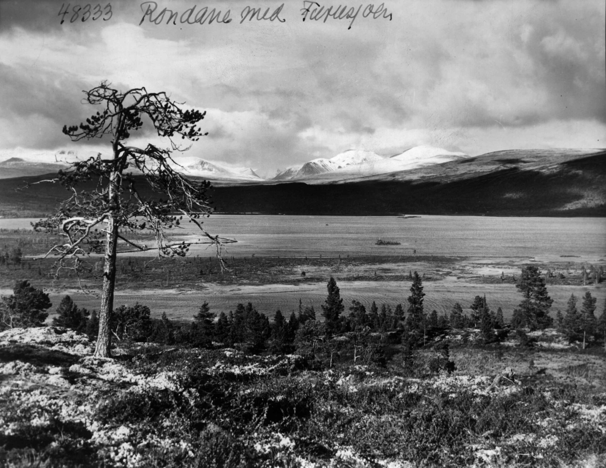 Anders Beer Wilse, Rondane, Furusjoen, Landskap