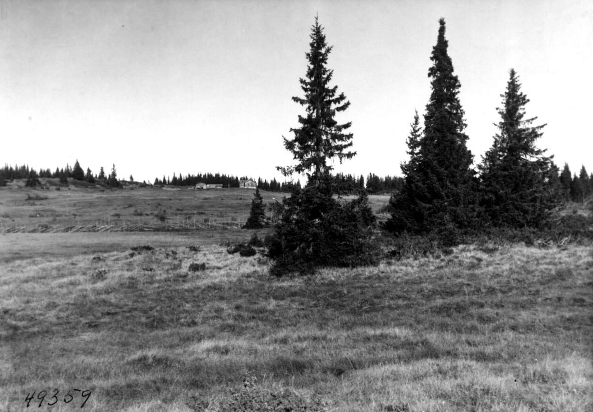 Anders Beer Wilse, Landskap, Veslestolen
