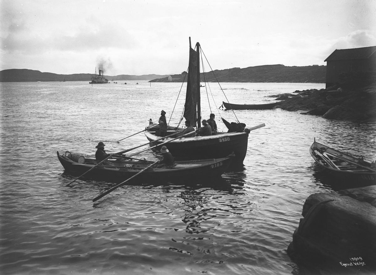 Anders Beer Wilse, Prot: Baattyper