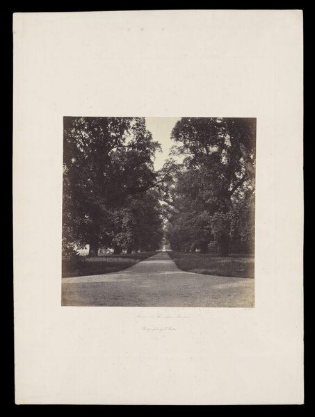 Fenton, Roger, Avenue in the slopes, Windsor