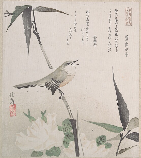 Teisai Hokuba, Roses and Bamboo with Nightingale
