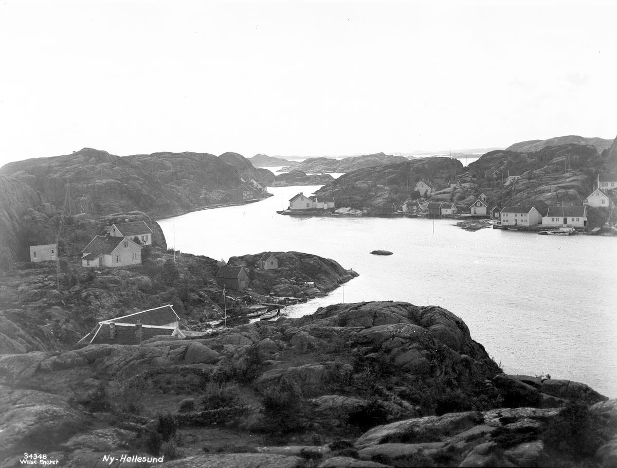 Anders Beer Wilse, Prot: Sørlandet - Ny Hellesund