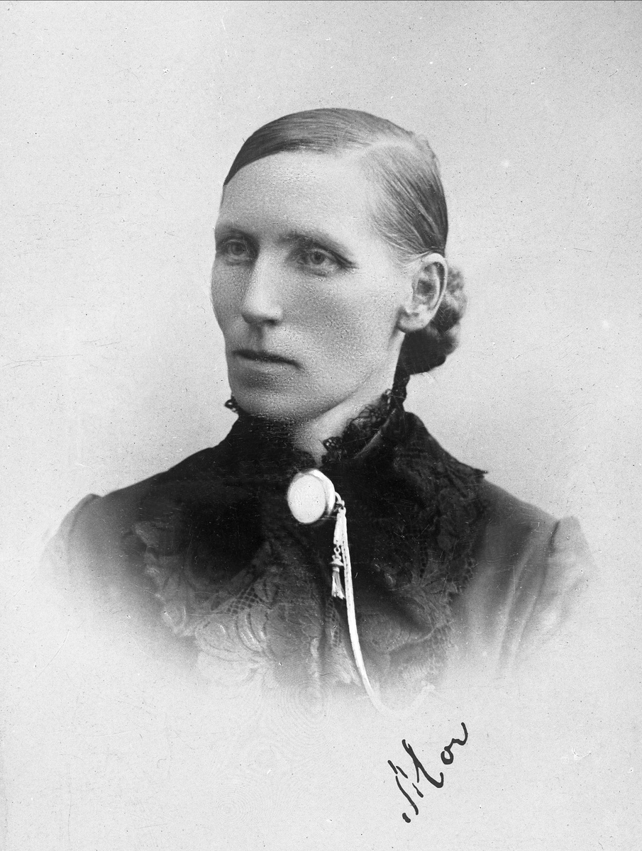 Gustav Borgen, Avfotografering.