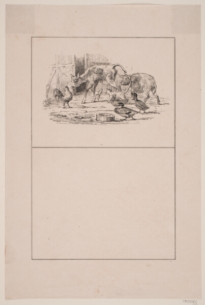 Adolph Kittendorff, Spædkalven