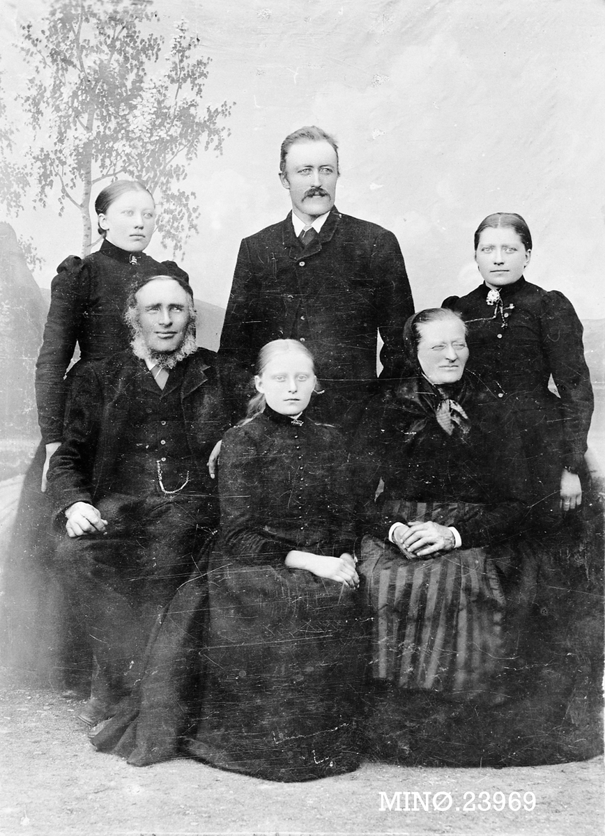Henrik Augustinsson Stinessen, Familiebilde - John og Anna Narbuvoll