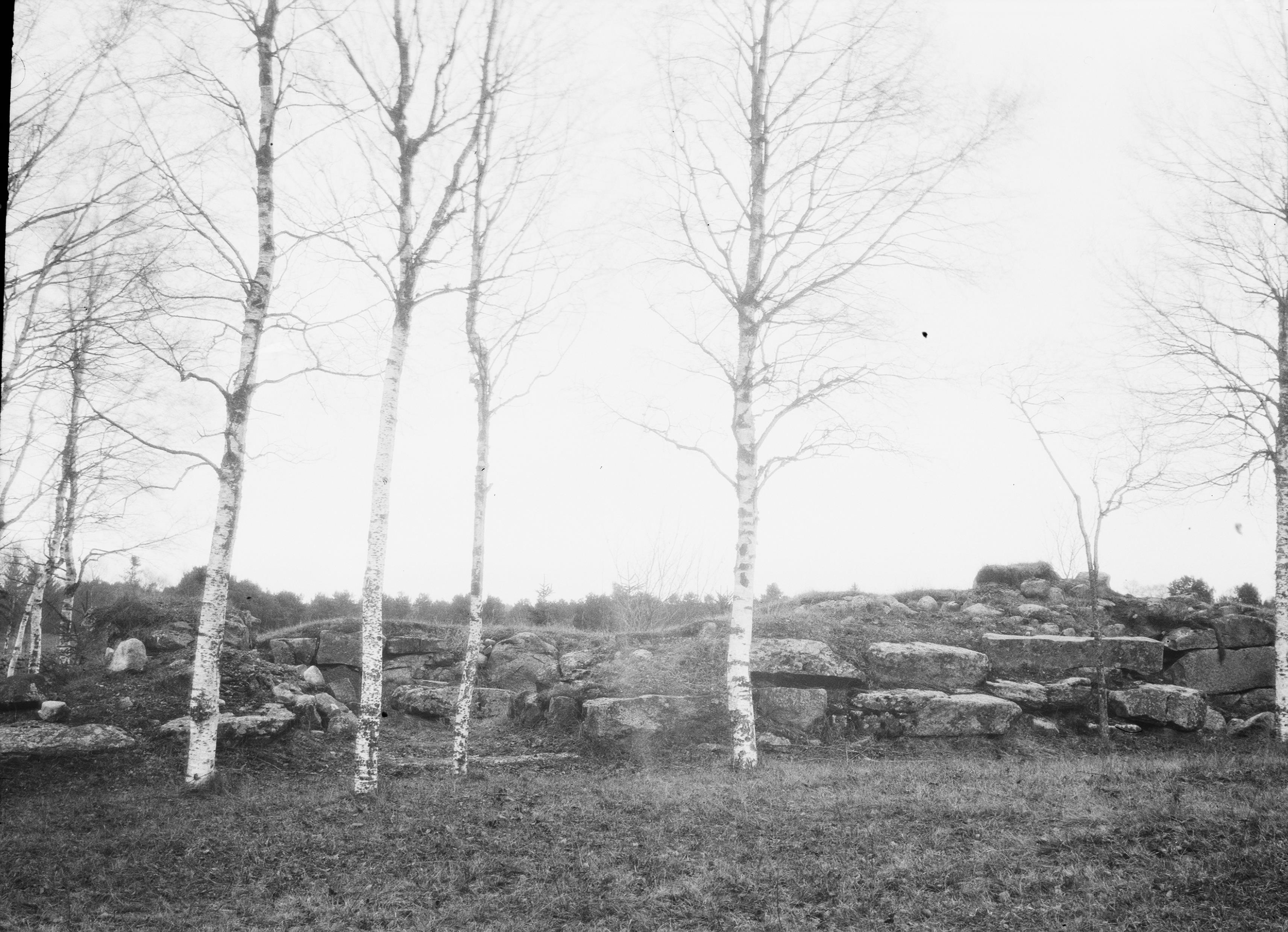 Bertil Berthelson, Edsvära, Ballstorps kyrkoruin