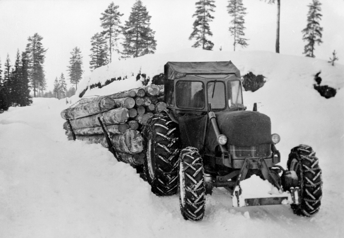 Anno Domkirkeodden, Lunning. Kjøring av tømmer med traktor i Nes Almenning.