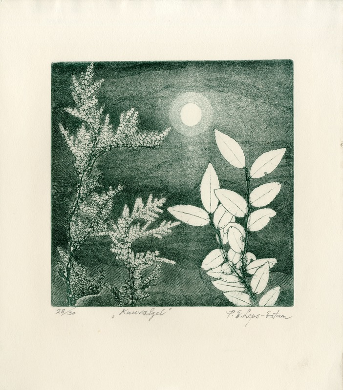 Pauline Elfriede (autor) Leps-Estam, Kuuvalgel / By Moonlight