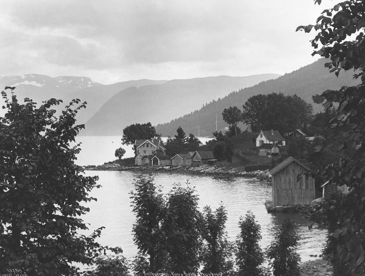 Anders Beer Wilse, Prot: Balholmen Kong Beles Gravhaug